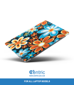 Zen Zinnia - Image 3